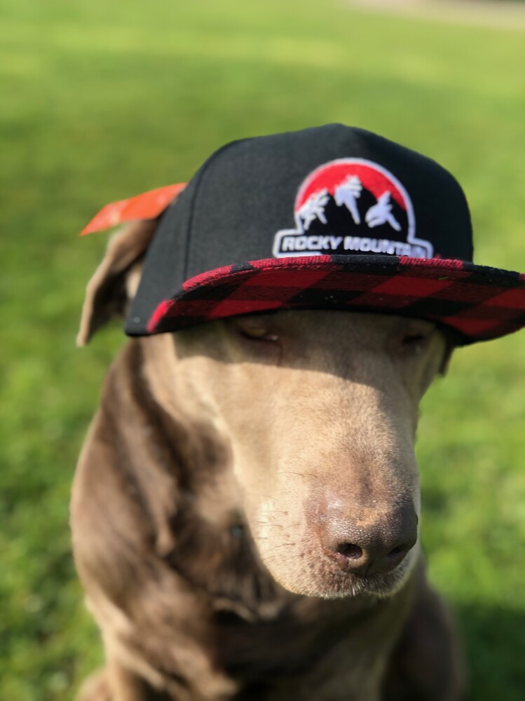 Cheap snapback hats canada hotsell
